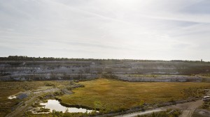 Leta fossil vid Limhamns kalkbrott för tonåringar och vuxna