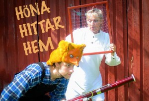 Höna hittar hem