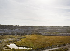 Leta fossil vid Limhamns kalkbrott för tonåringar och vuxna