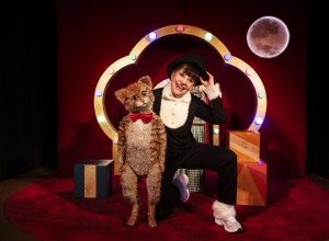 kattkabare-for-1-5-3-ar