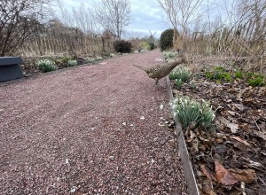 Snödroppsvandring i Slottsträdgården